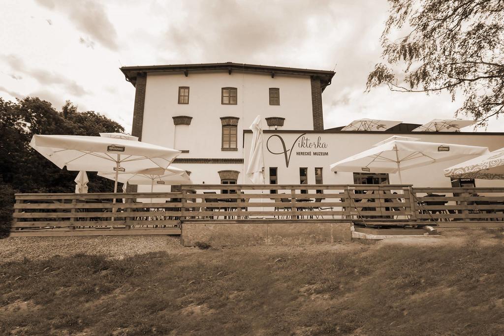 Wellness Hotel - Viktorka, Herecky Dum Ceska Skalice Exterior photo